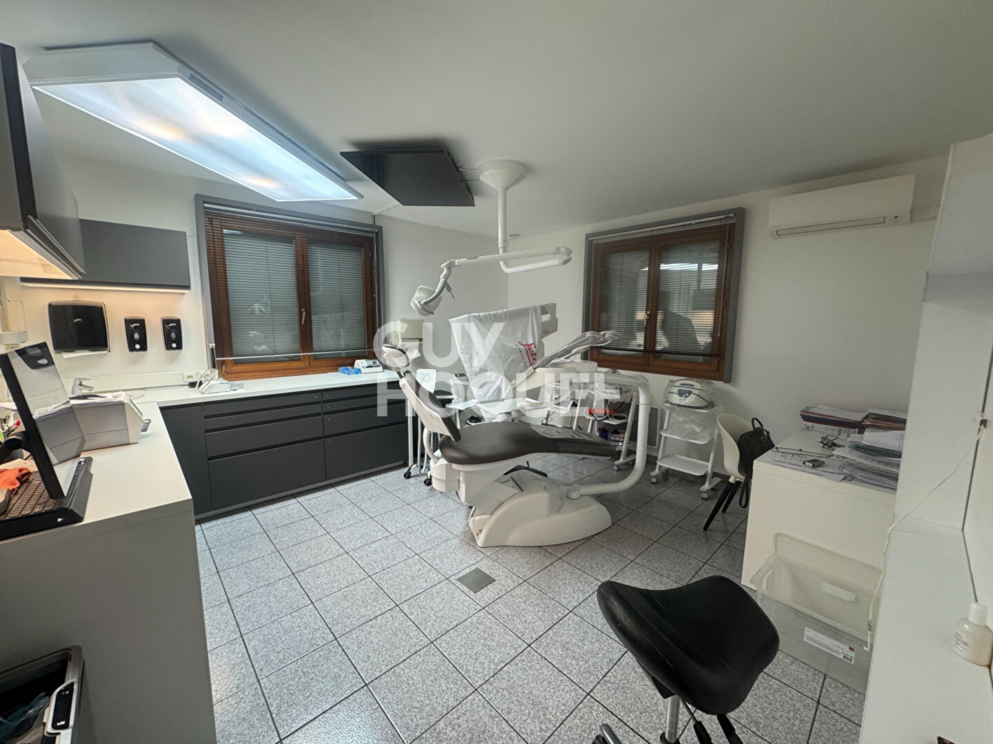 Local professionnel à Gilly Sur Isere 5 pièce(s)