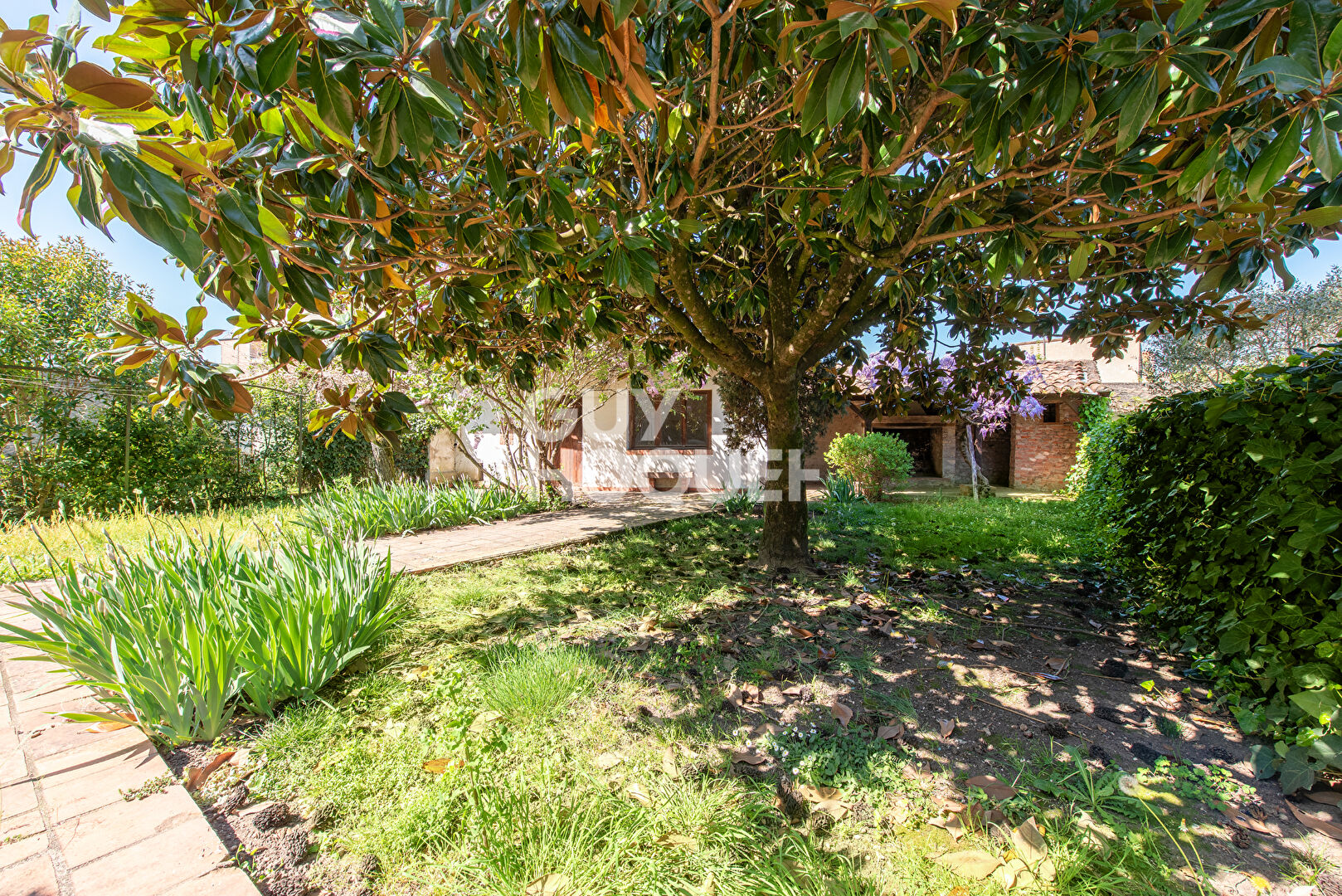 Maison Albi 9 pièce(s) 280 m2 !