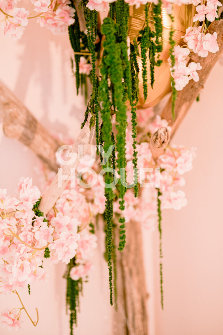 Fonds de commerce Restaurant Albi centre ville!