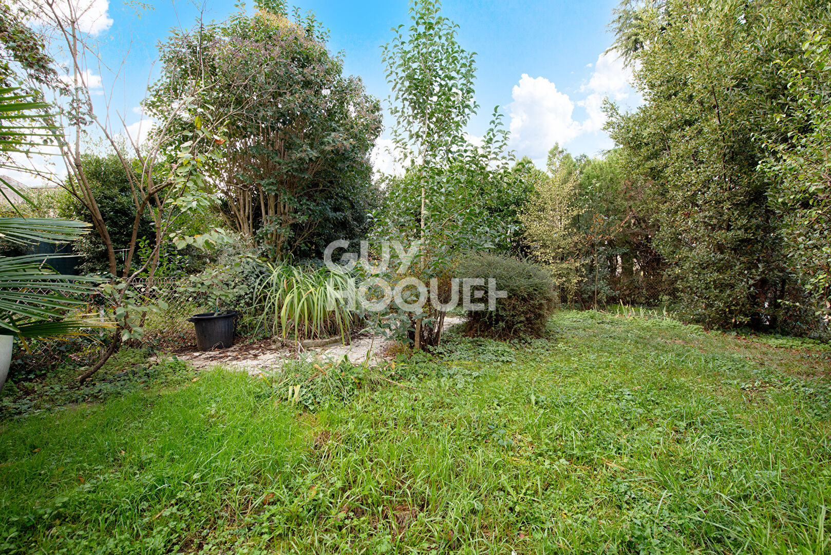 Maison Albi 6 pièce(s) 180 m2