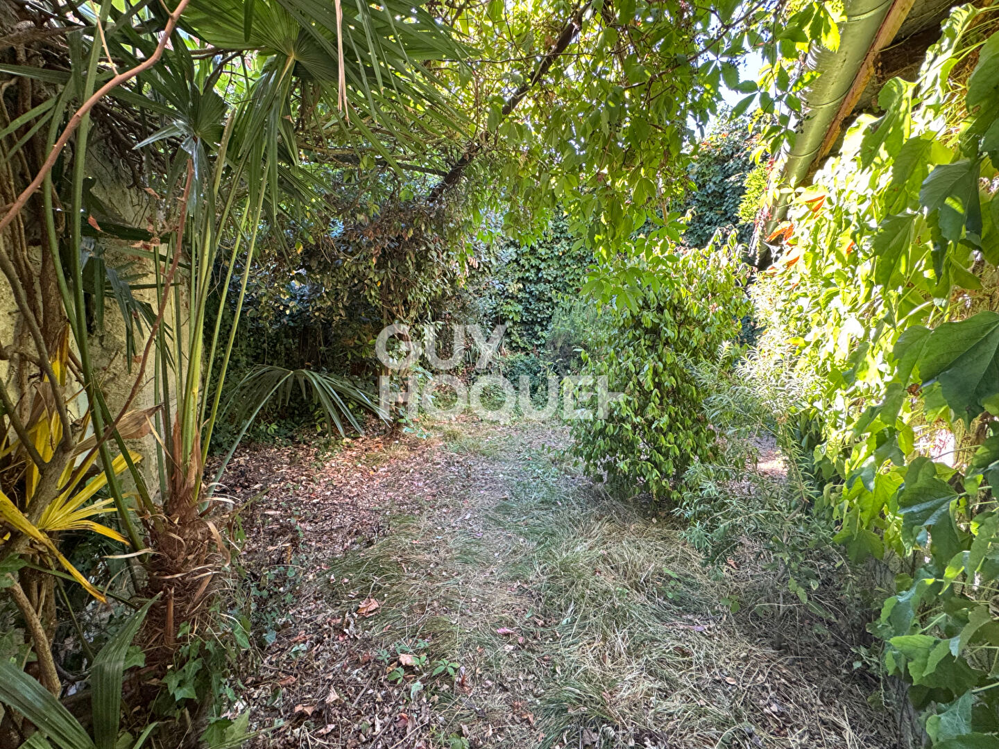 Situation exceptionnelle au pied de la nouvelle passerelle - Maison Albi 4 pièces!