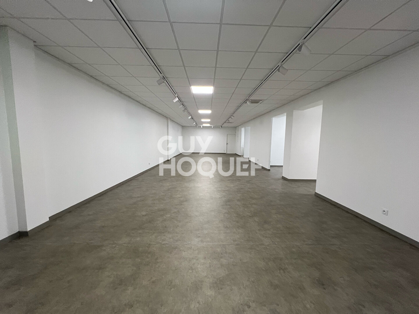 À LOUER - Local / Bureaux 350 m² - Place Fernand Pelloutier -ALBI