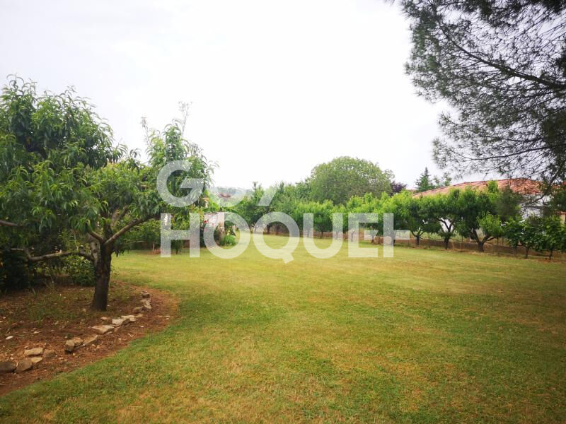 Maison plain pied Albi  5 pièce(s) 126 m2 - division parcellaire possible!