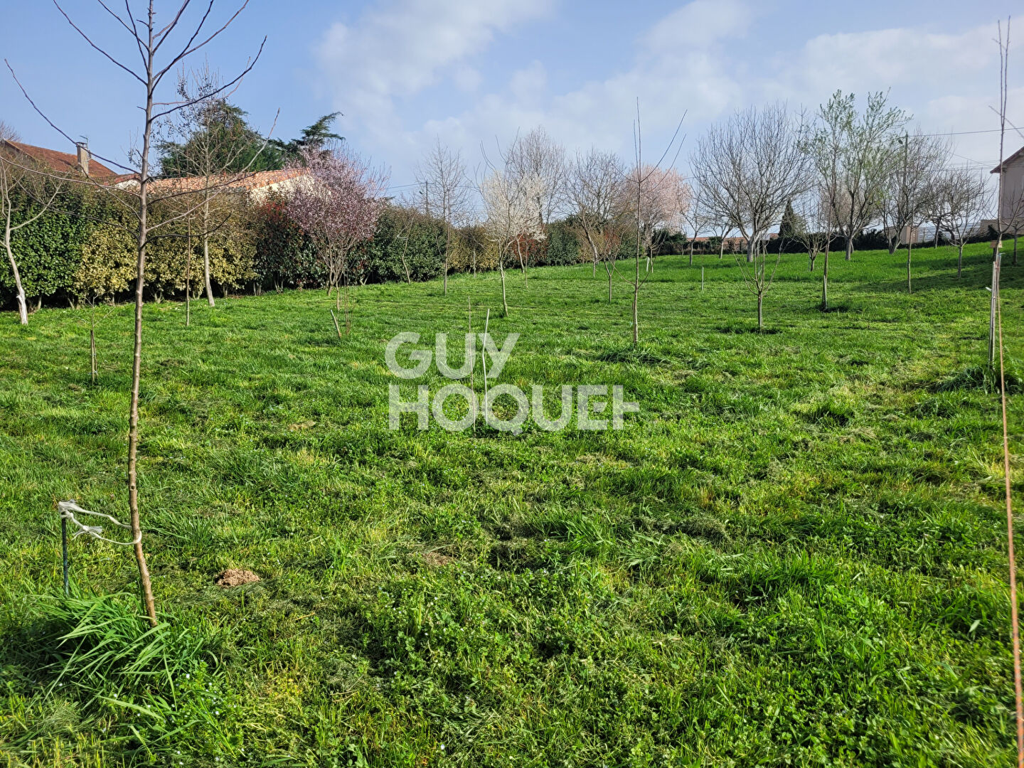 EXCLUSIVITE, Terrain de 1726m² à Carmaux