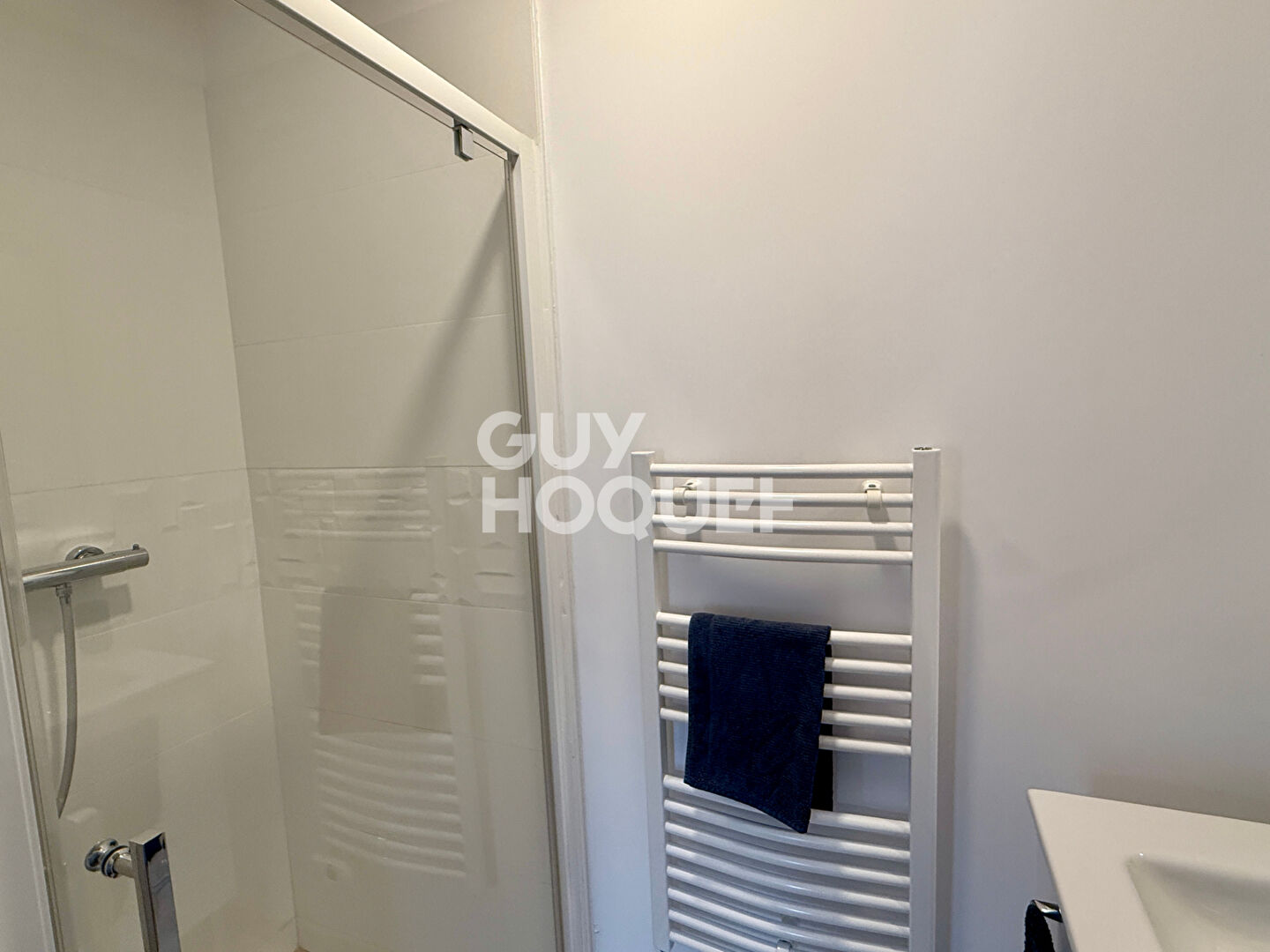 Appartement Albi 1 pièce