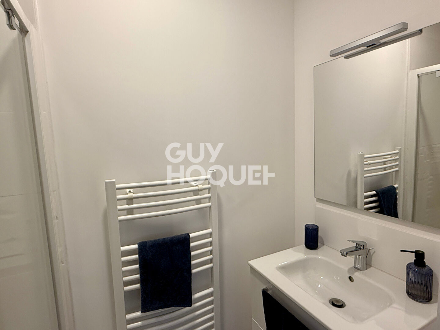 Appartement Albi 1 pièce
