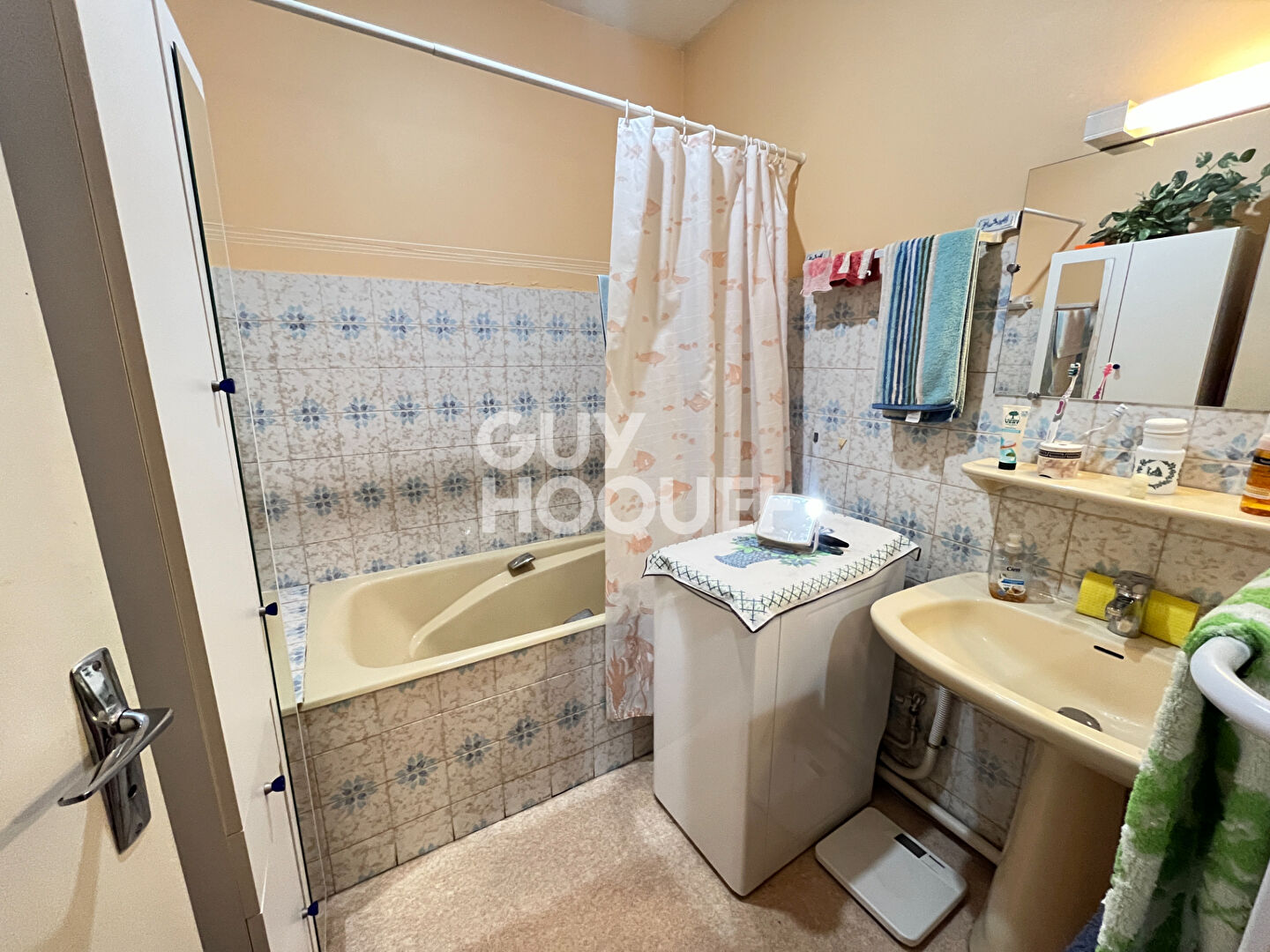 ALBI Secteur Lude / Bellevue ? T3 avec balcon, parking et cave Vendu loué