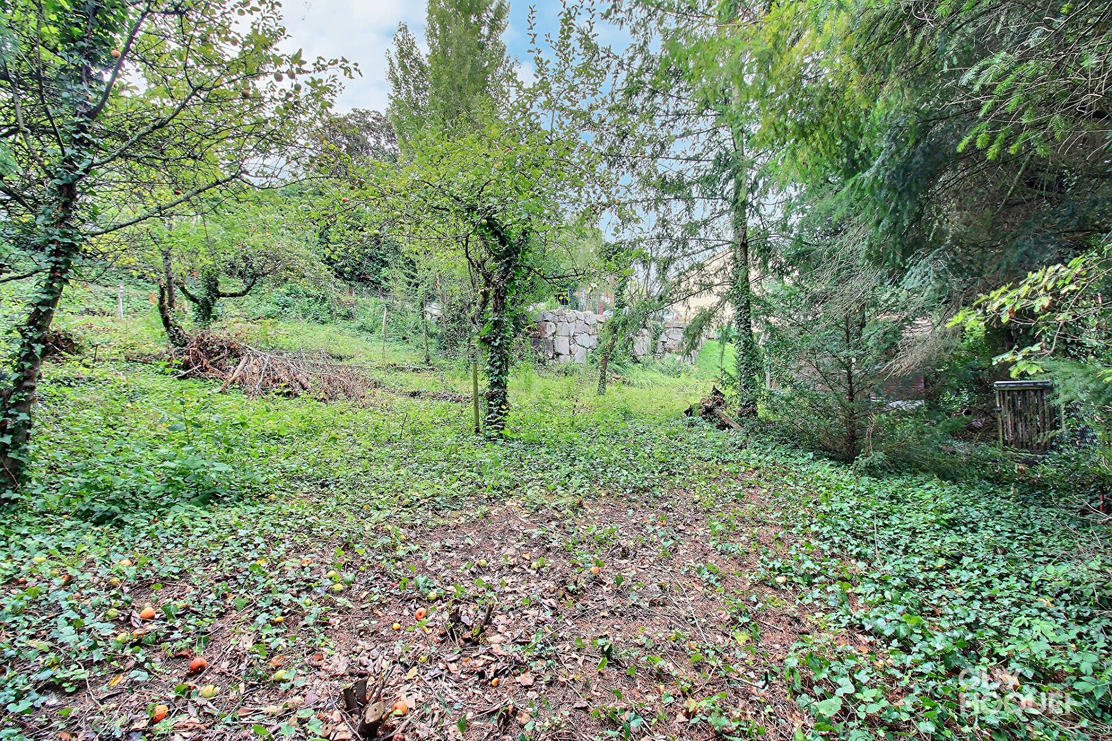 Terrain à vendre à Altkirch - Opportunité rare