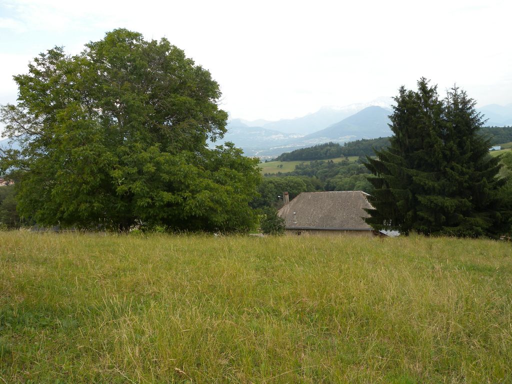 VIUZ LA CHIESAZ - EXCLUSIVITE