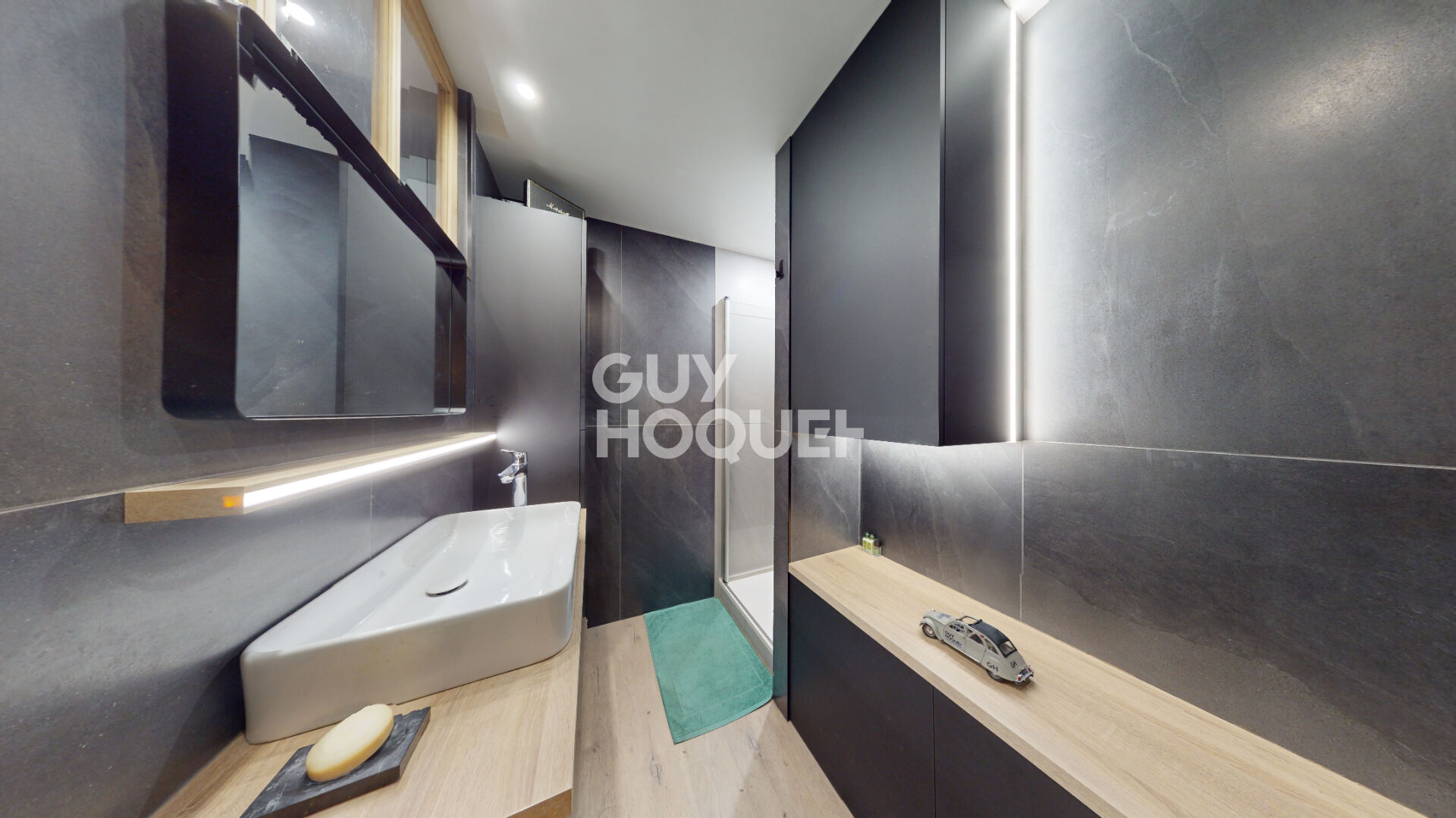 ANNECY CENTRE-VILLE GRAND T3 dans immeuble de Standing