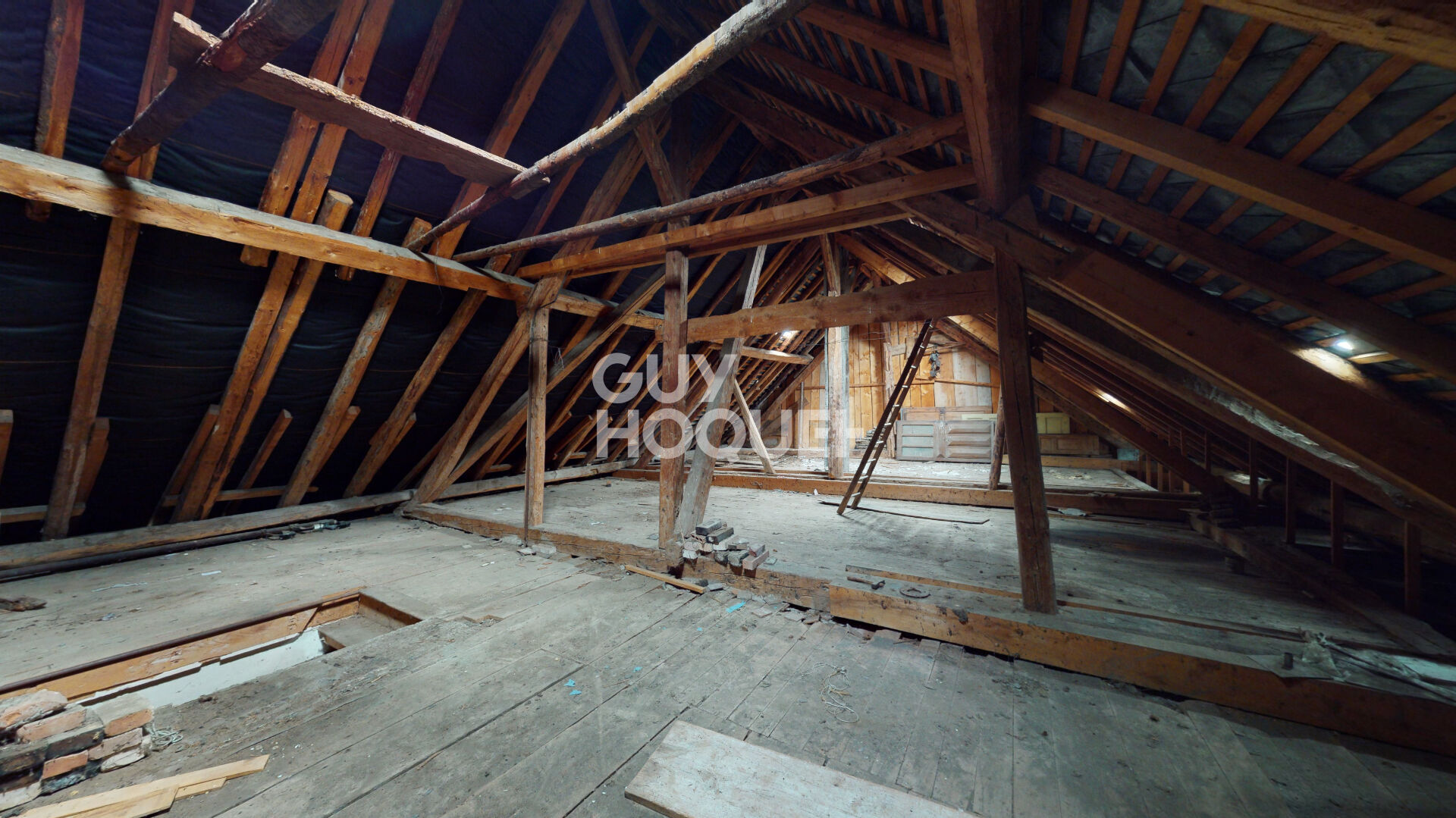 Maison Leschaux 6 pièce(s) 292.01 m2