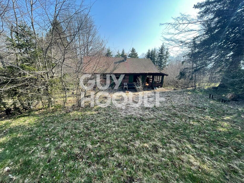 A Vendre Chalet  Monnetier-Mornex
