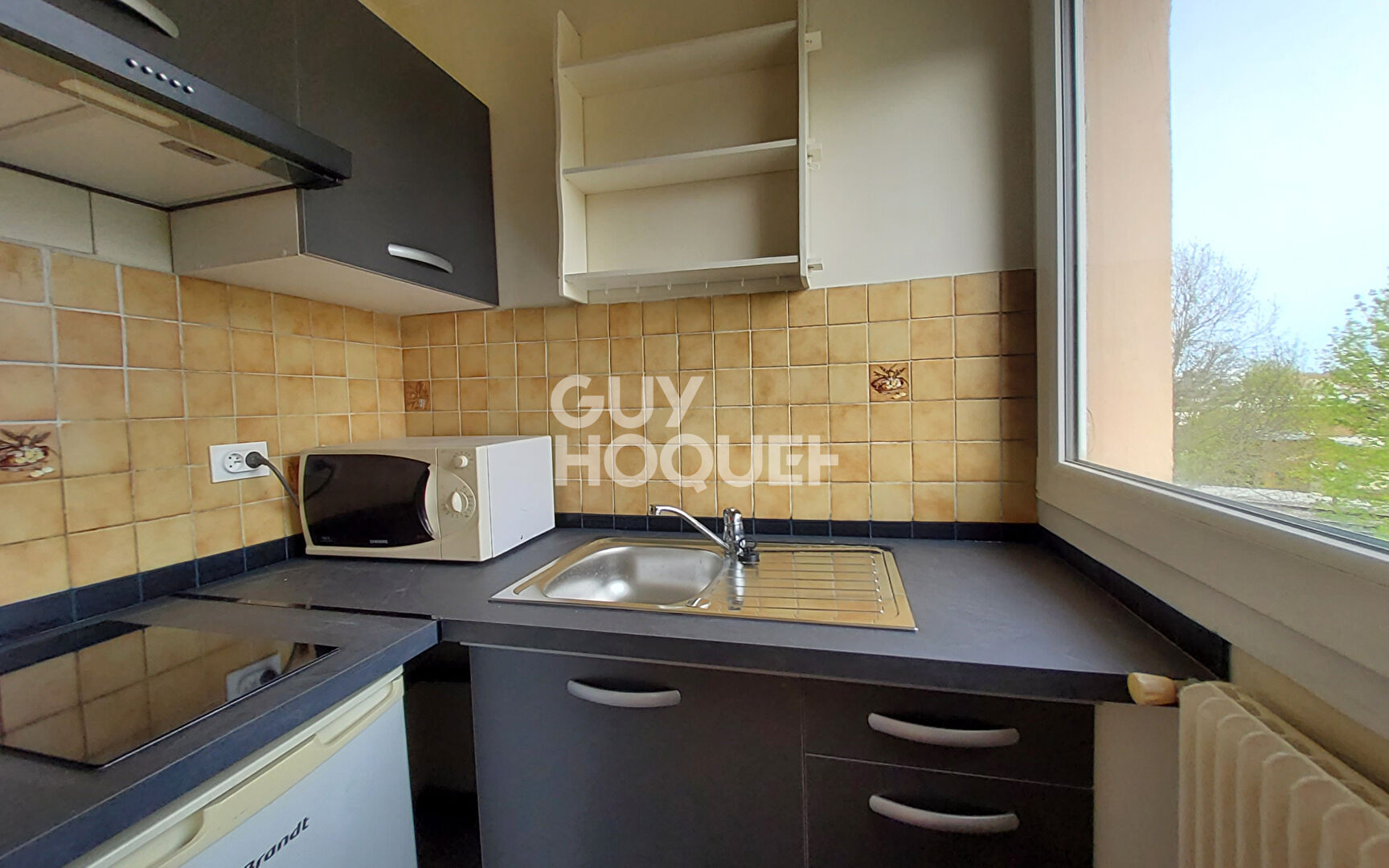 Location appartement 1 pièce (studio) Antony Ref. 3427