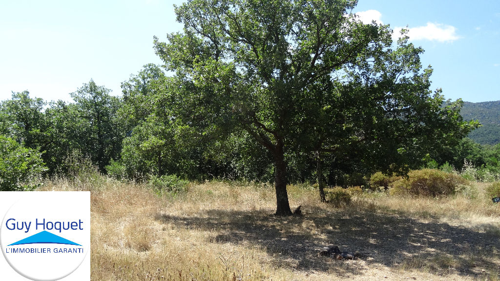 ARGELES SUR MER - PROCHE CHATEAU DE VALMY - TERRAIN DE LOISIRS OU AGRICOLE ACCESSIBLE FACILEMENT