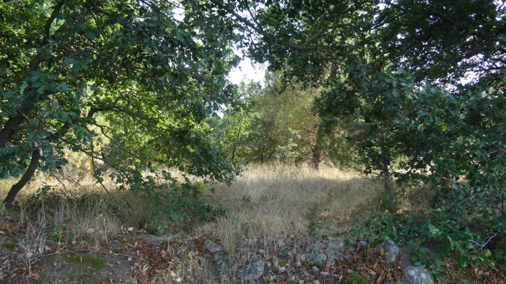 Domaine agricole Saint Andre