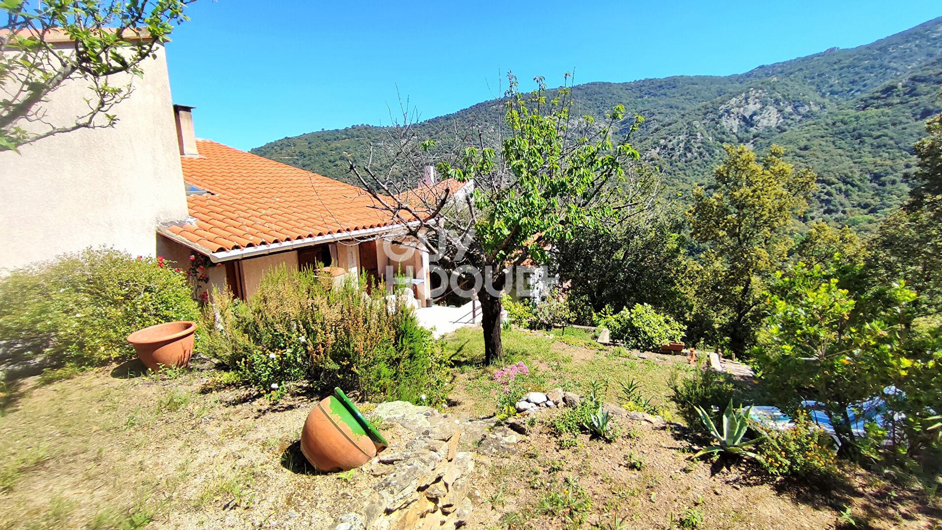 Maison pleine de charme à Sorède