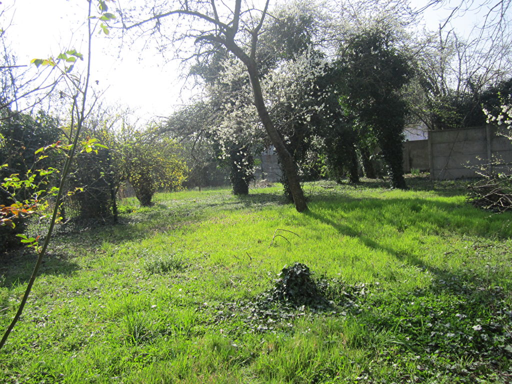 ARGENTEUIL -  COTEAUX