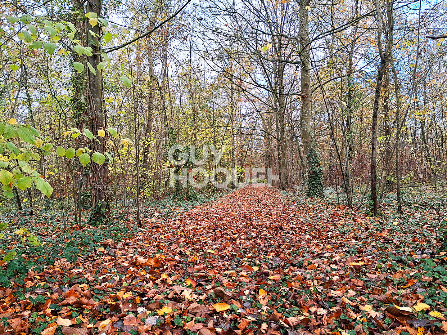 Maison de caractère : parcelle de + 12000 m²