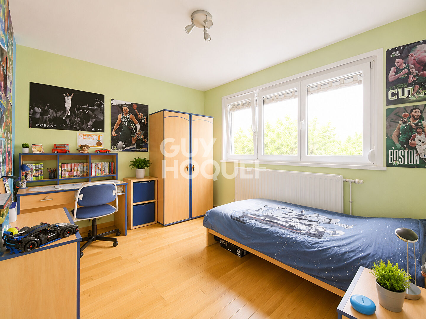 Semi-individuelle : garage & jardin