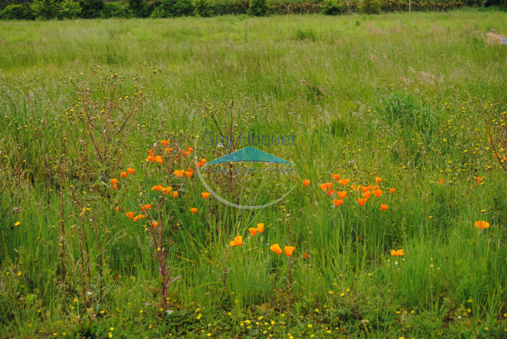 Terrain  650 m2 Aussevielle  4e lot