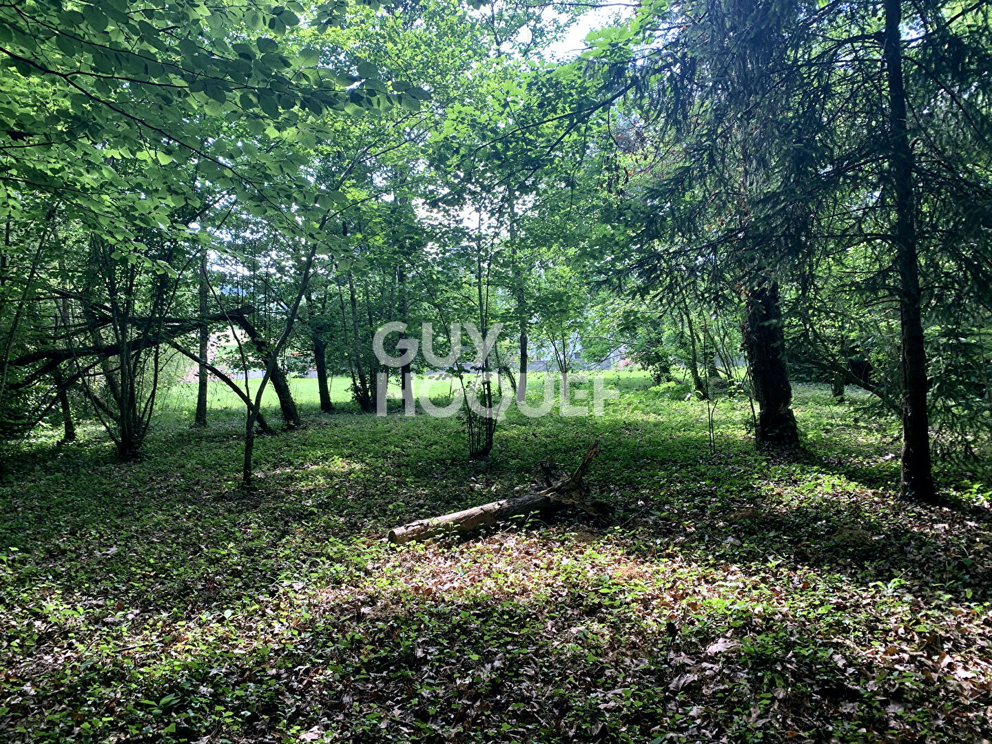 Maison avec sous-sol aménagé et parc arboré a MONEIN