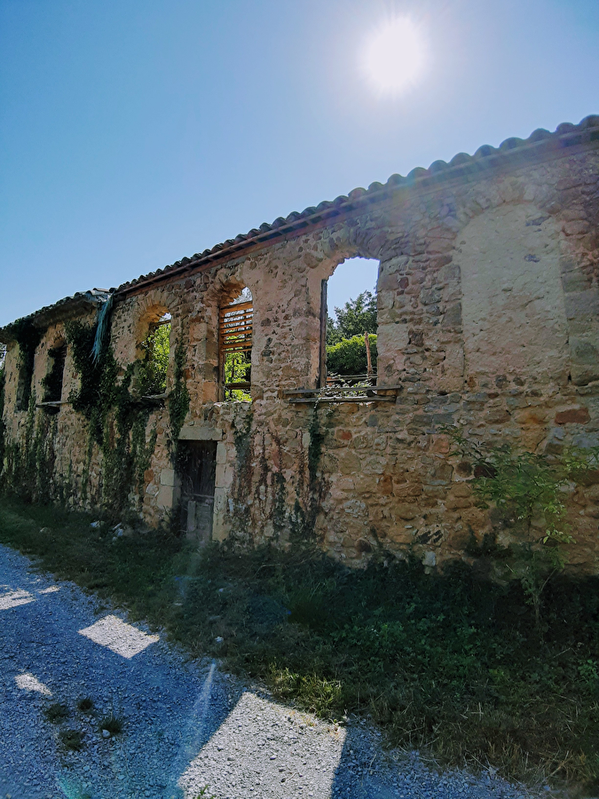 Au détour de notre prospection terrain sur Mercuer on découvre des pépites  !!