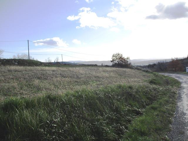 LUSSAS