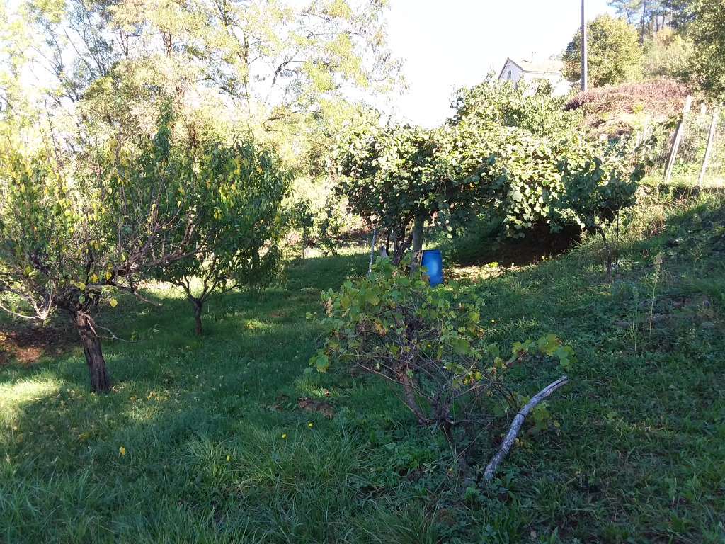 Terrain constructible de 1 330 m²