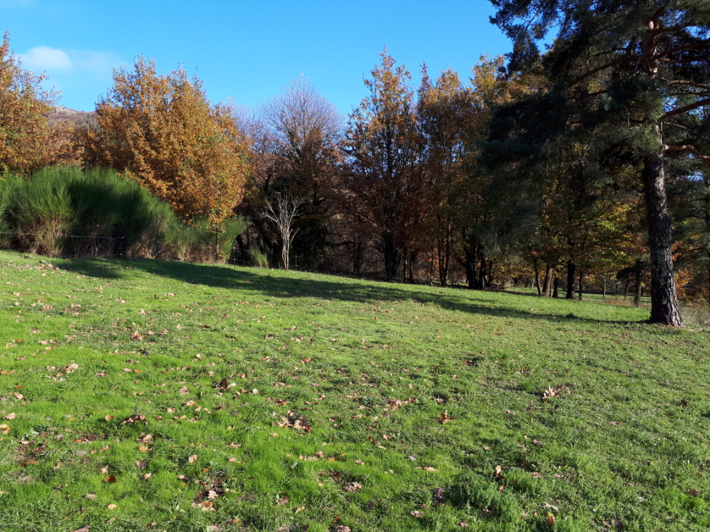 Terrain constructible de 776 m² - THUEYTS
