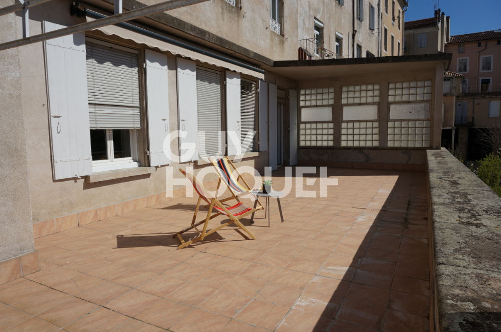 Appartement de charme en centre-ville avec grande terrasse