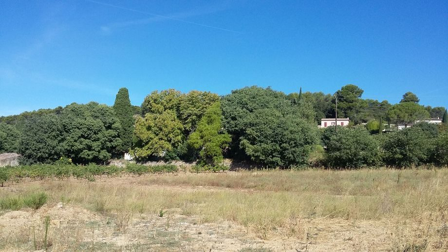 LORGUES beau terrain plat de 1200 m2 proche du village.