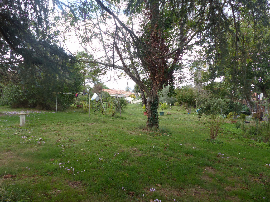 Terrain Cintegabelle 625 m2