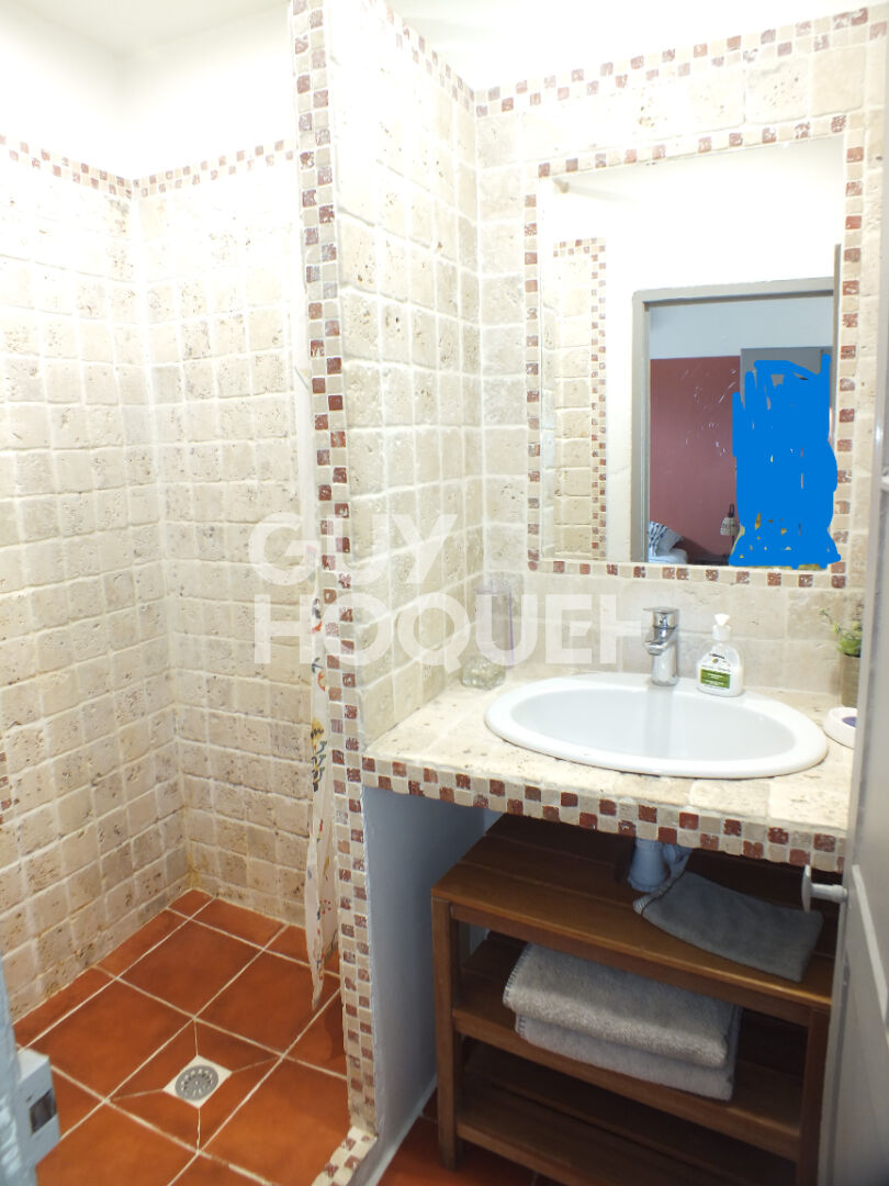 Appartement  1 pièce 27 M²  CENTRE VILLE BANASTERIE