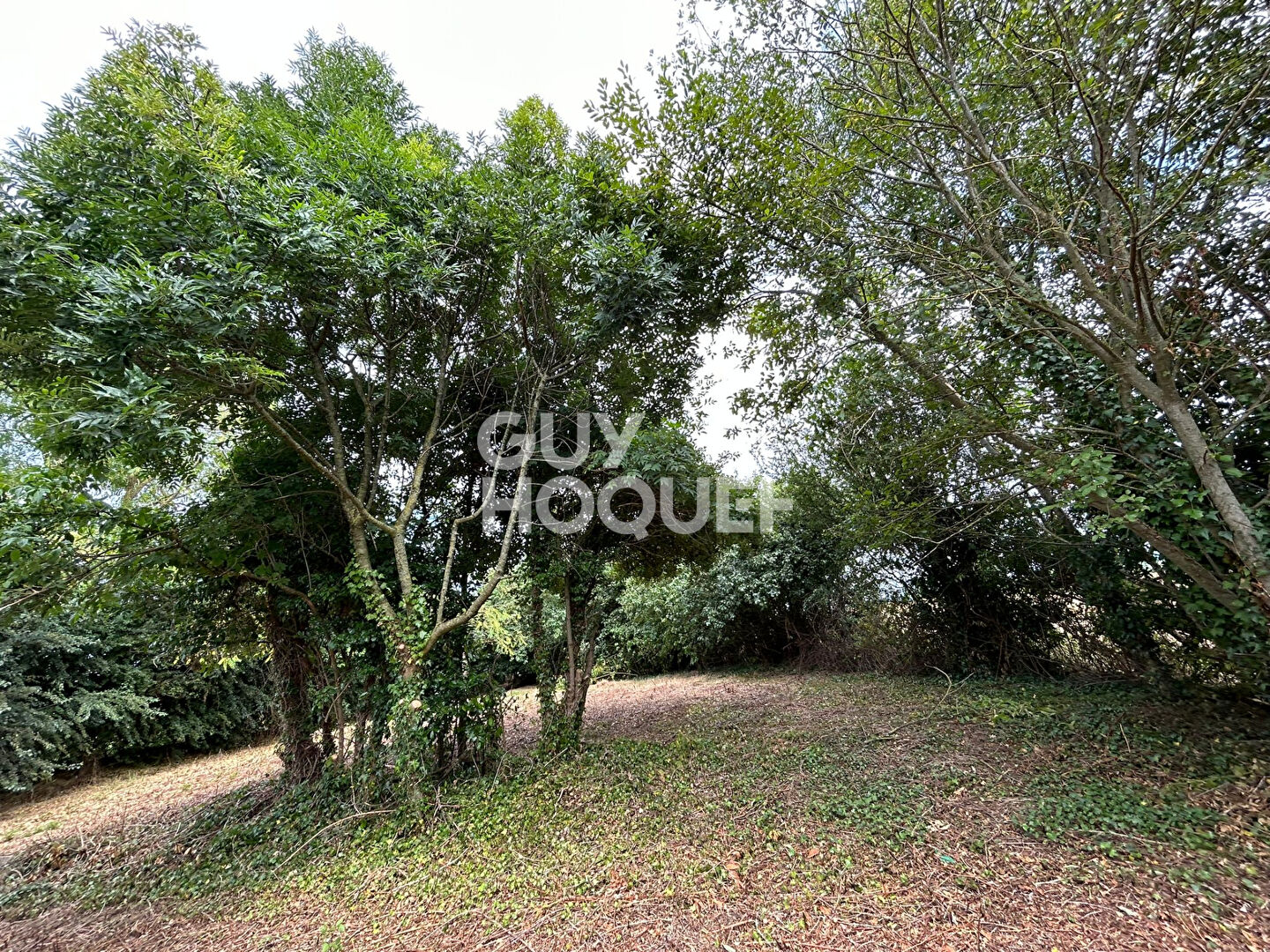 Maison Le Mesnil Gilbert 3 pièce(s) 54 m2