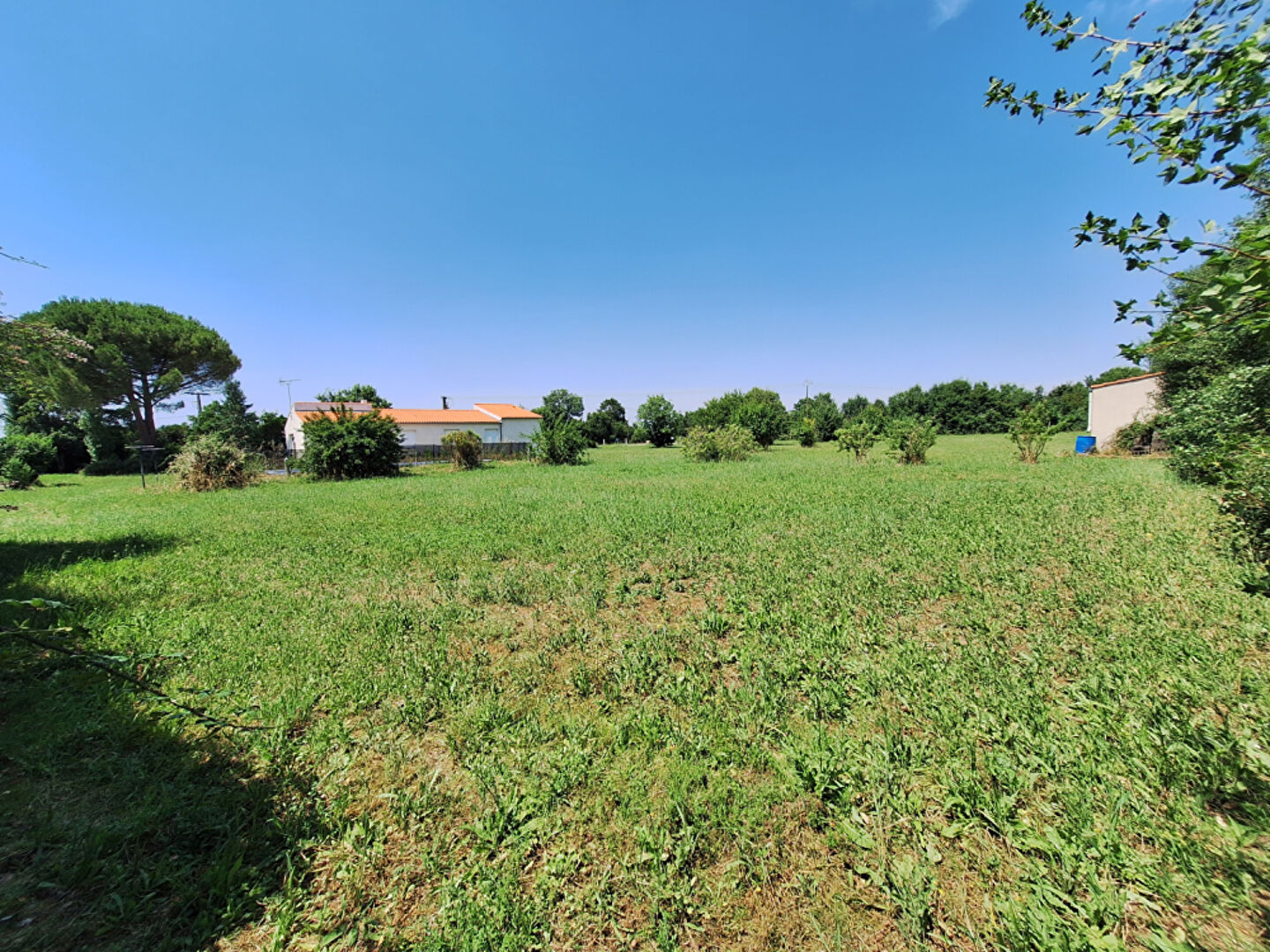 Maison de 4 pièces (137 m²)  sur 7000 m2 de terrain constructible et divisible