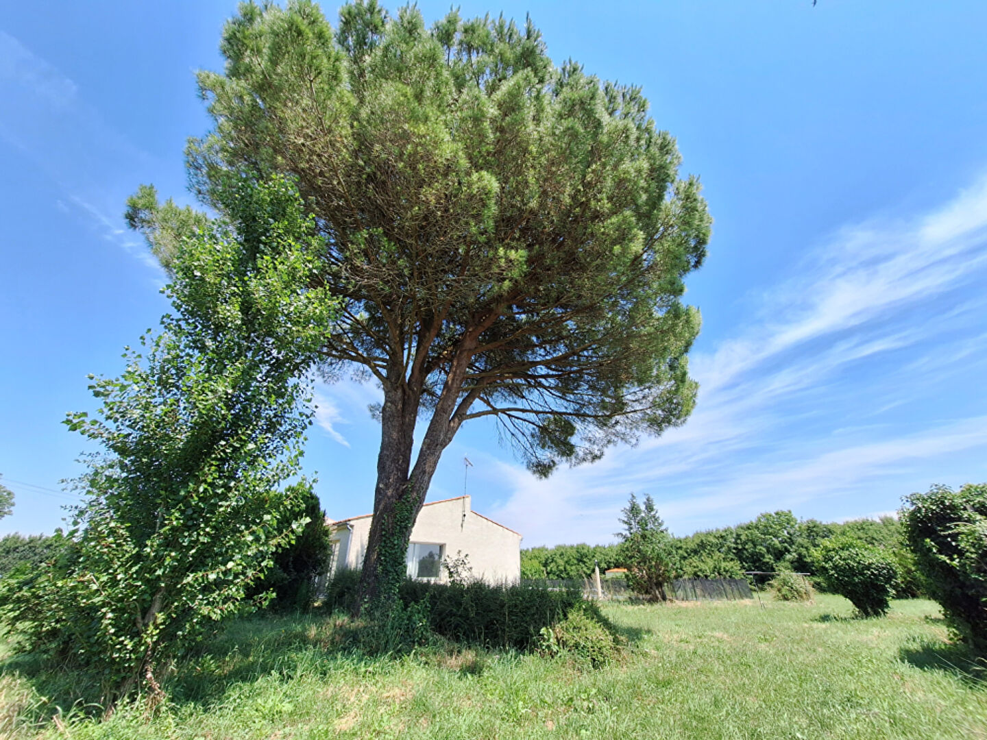 Maison de 4 pièces (137 m²)  sur 7000 m2 de terrain constructible et divisible