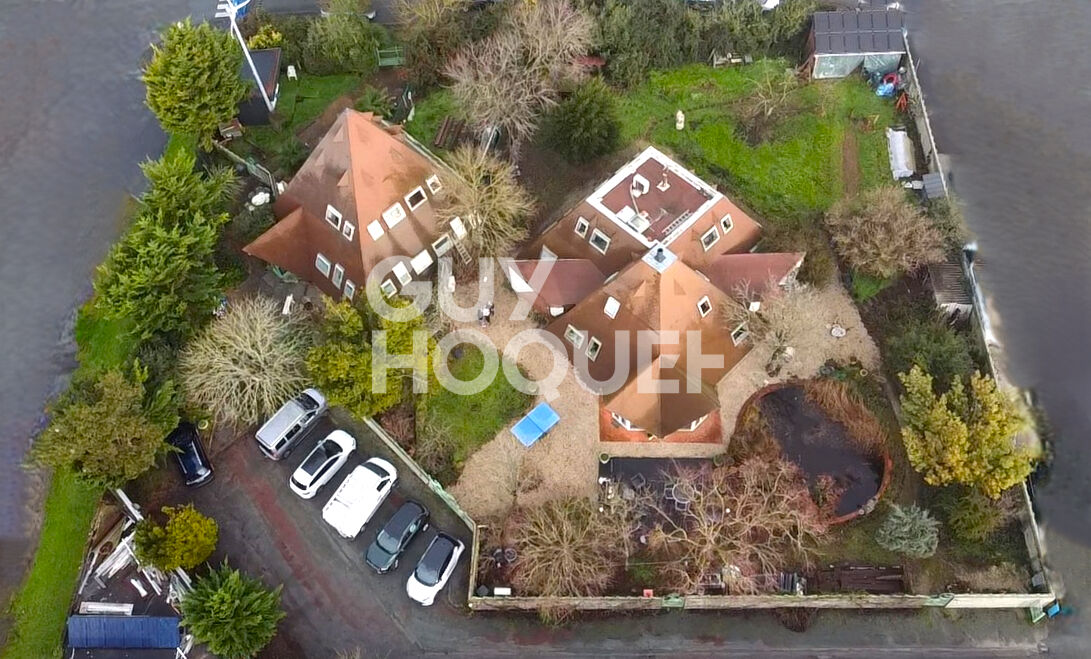 IDEAL INVESTISSEUR PROFESSIONNEL, FORT POTENTIEL