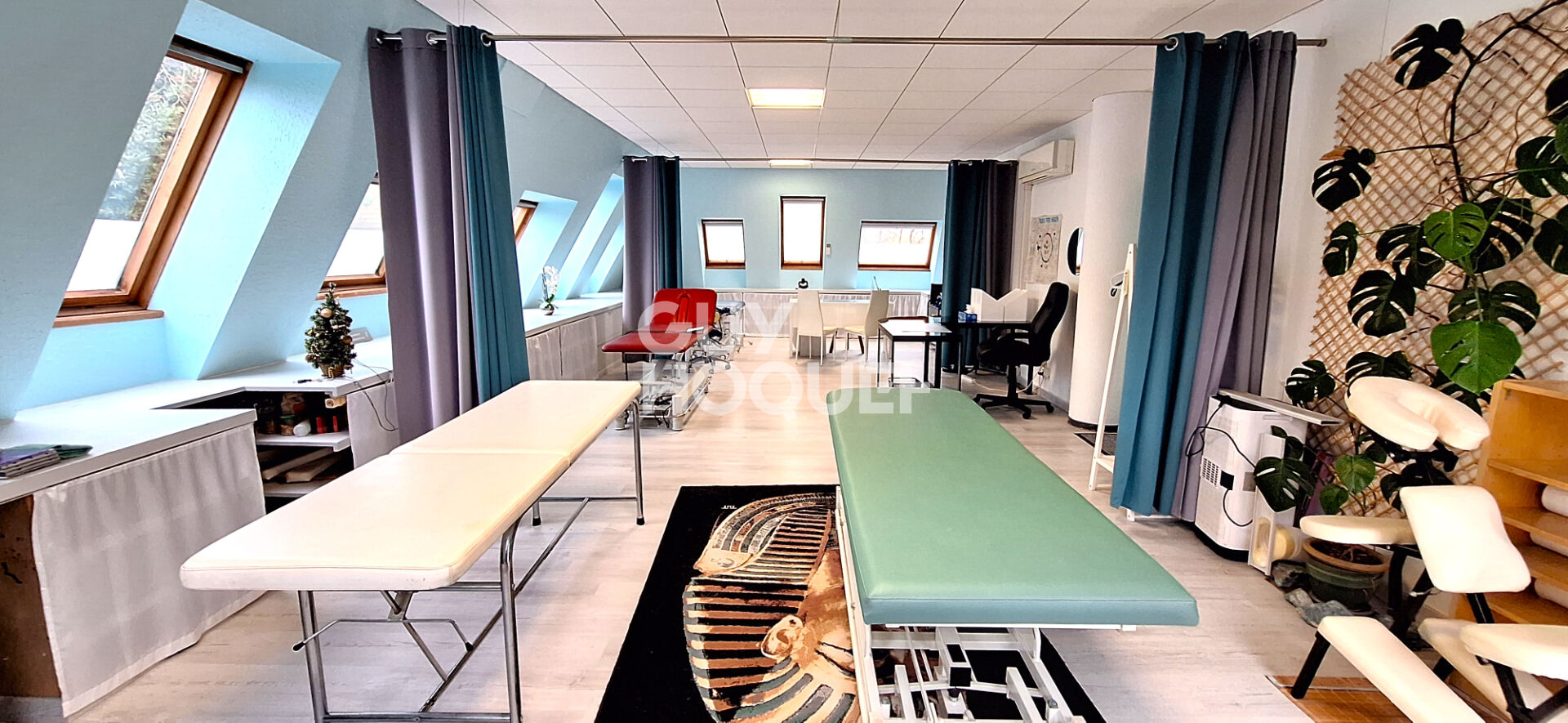 IDEAL INVESTISSEUR PROFESSIONNEL, FORT POTENTIEL