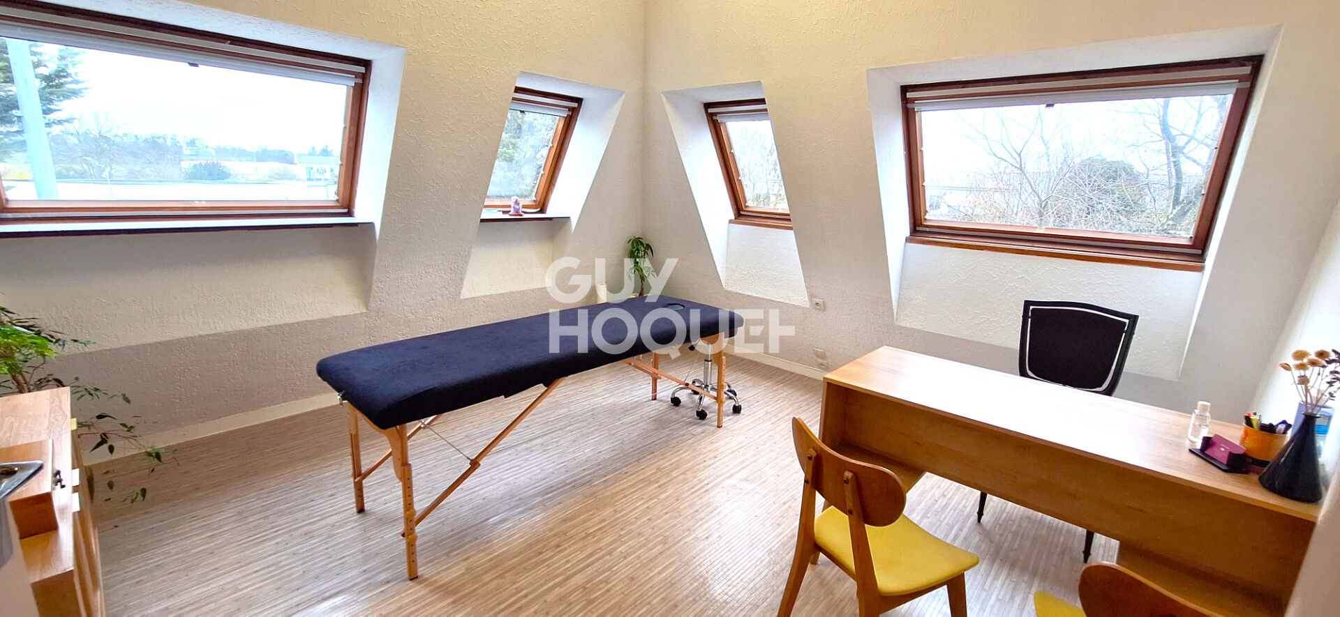 IDEAL INVESTISSEUR PROFESSIONNEL, FORT POTENTIEL