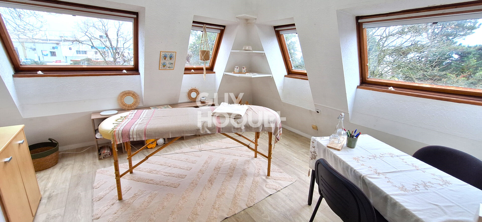 IDEAL INVESTISSEUR PROFESSIONNEL, FORT POTENTIEL