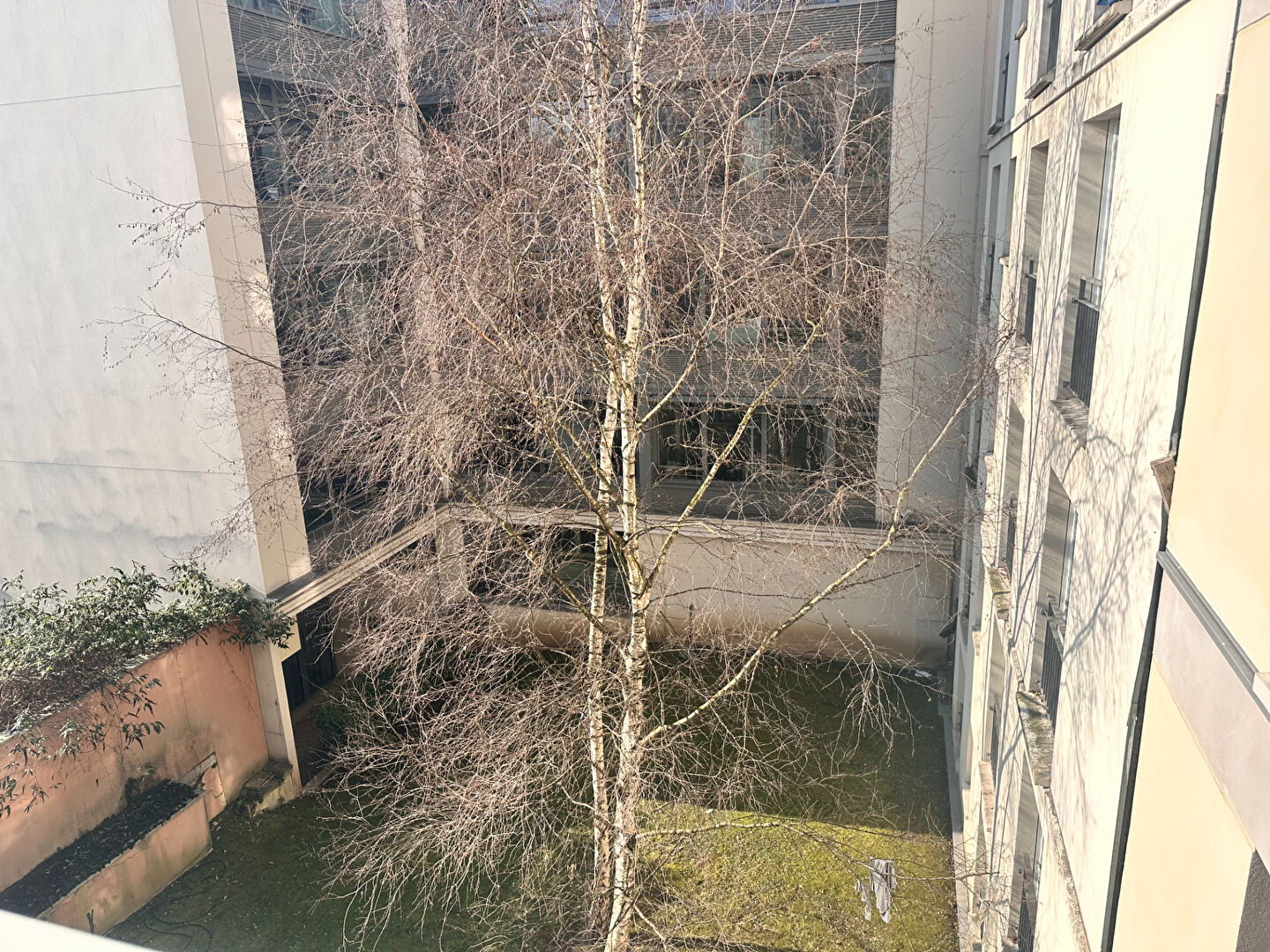 Appartement Montreuil Neuf 2 pièce(s) 48 m2