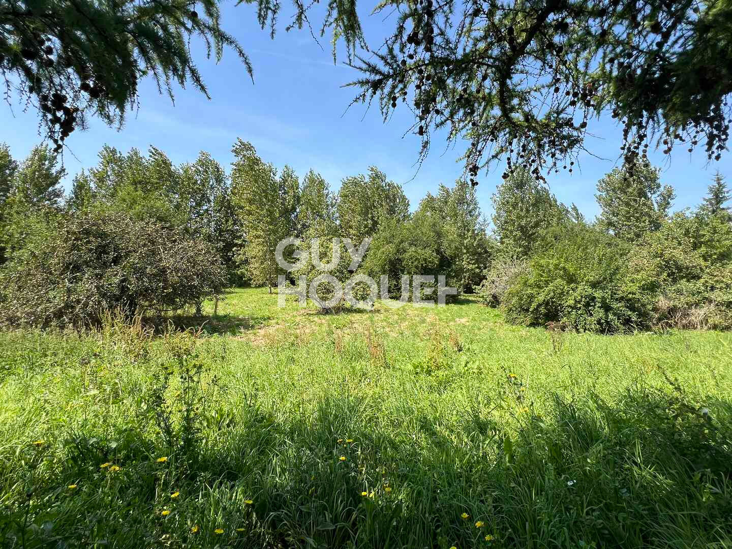 A Vendre, Maison de 245 m² habitables sur 6560 m² de terrain centre village avec commerces.