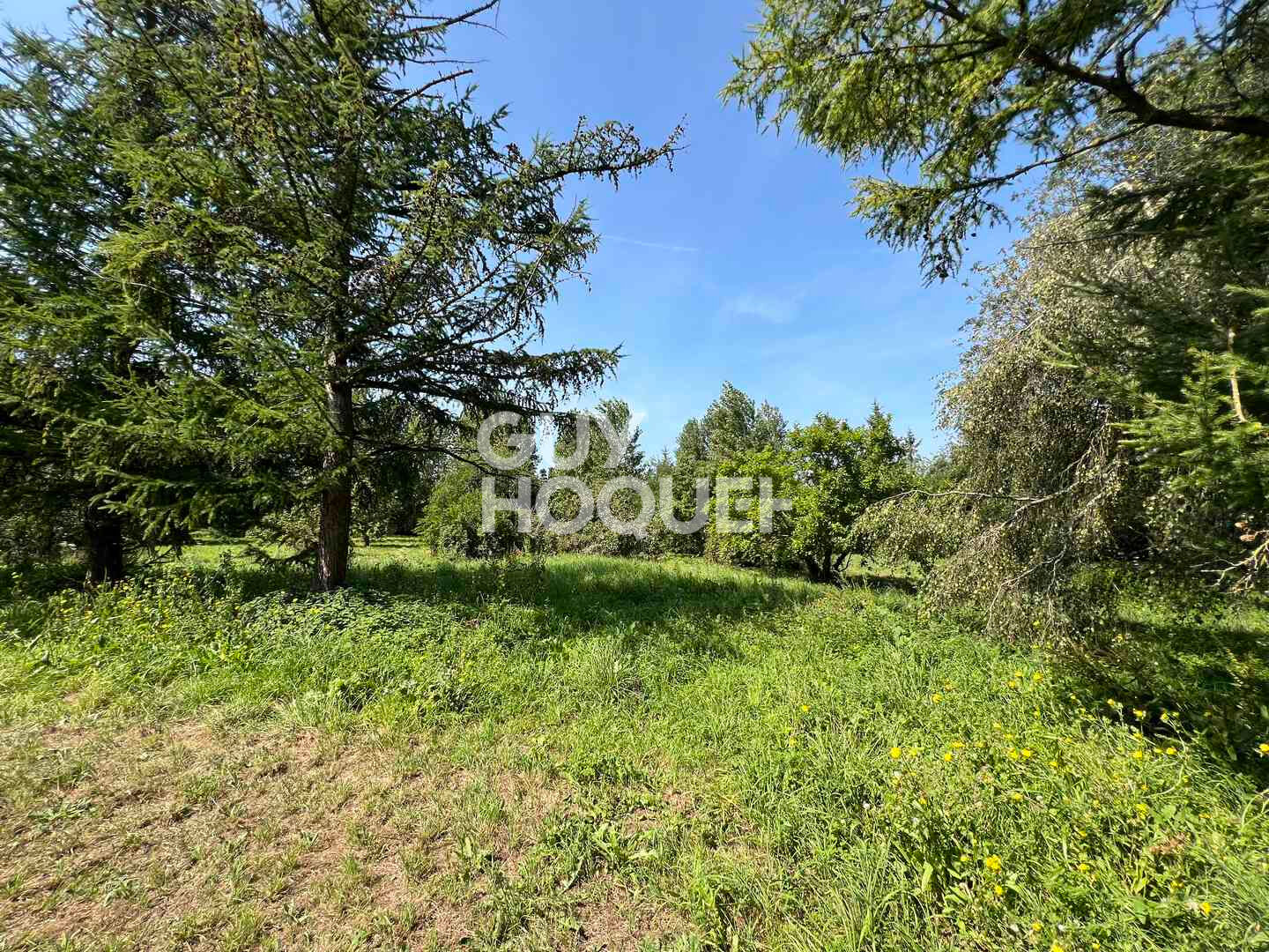 A Vendre, Maison de 245 m² habitables sur 6560 m² de terrain centre village avec commerces.