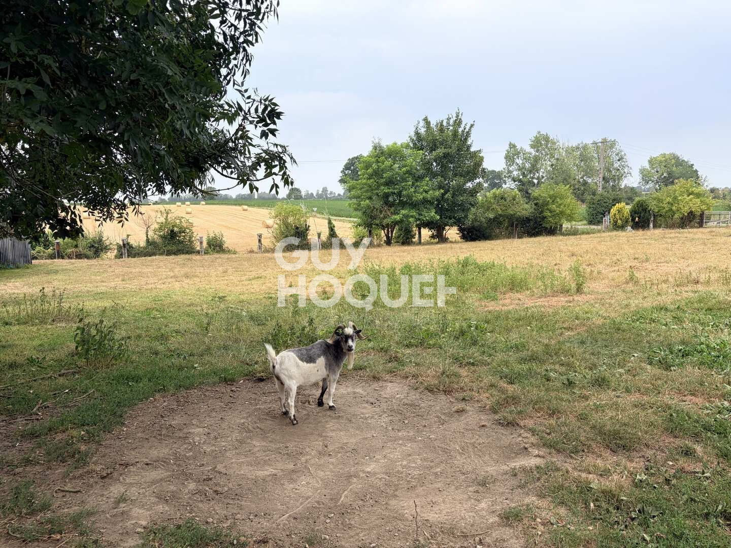 A vendre, Maison ancienne en pierre de 96 m² habitables, à TILLY-SUR-SEULLES (14250).