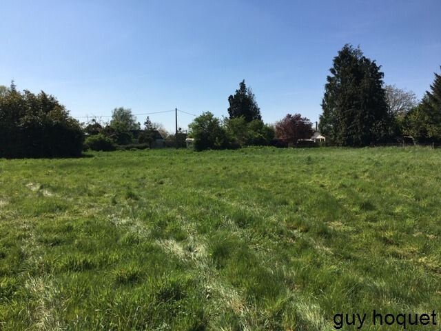 Terrain à bâtir divisé en 4 lots