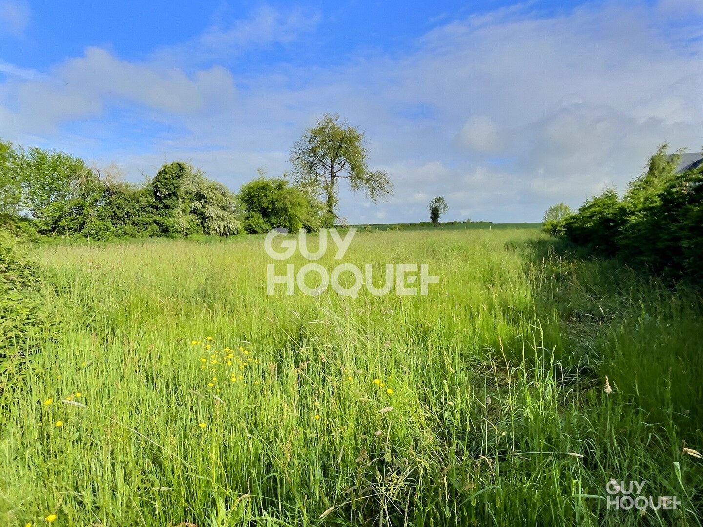 En exclusivité, sur la commune de St Martin du Tilleul