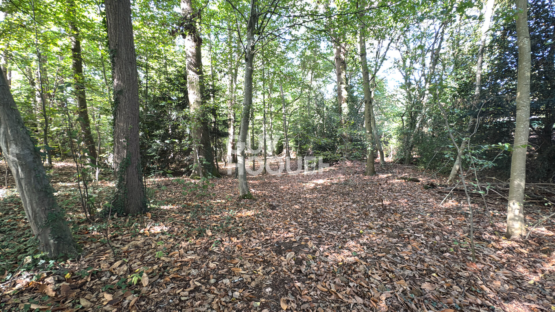 Secteur de Nassandres sur Risles