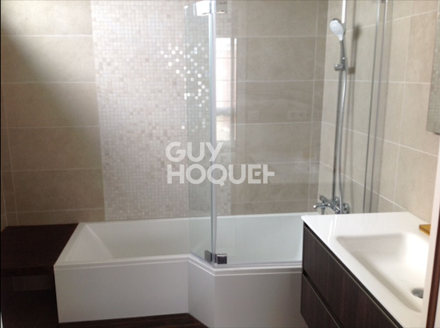 Maison Blagnac 4 pièce(s) 166 m2