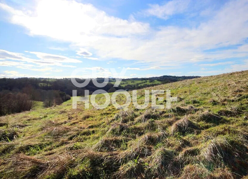 Terrain à vendre à Ozenx Montestrucq