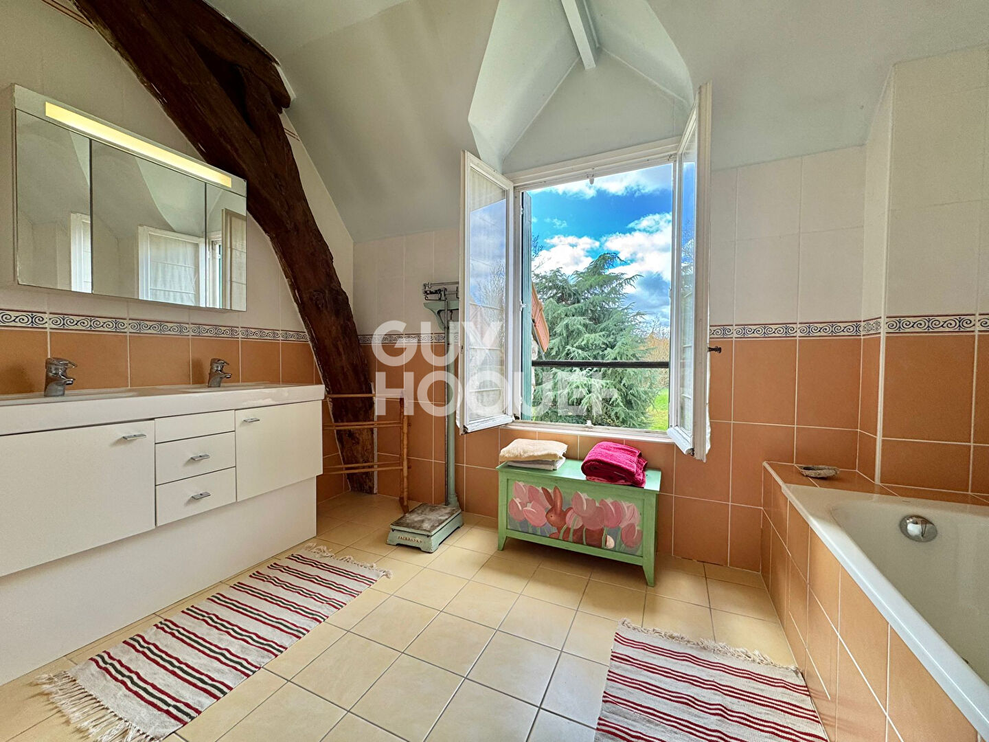 Maison Saint Vrain 7 pièce(s) 280 m2